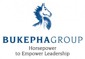 Horsepower Ausbildung